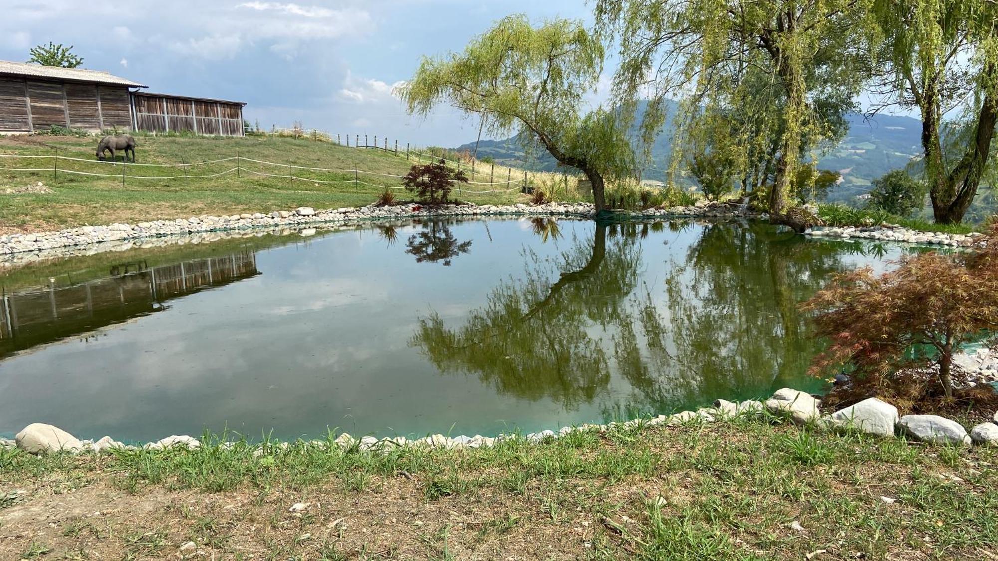Agriturismo Cergallina Vernasca Exteriör bild